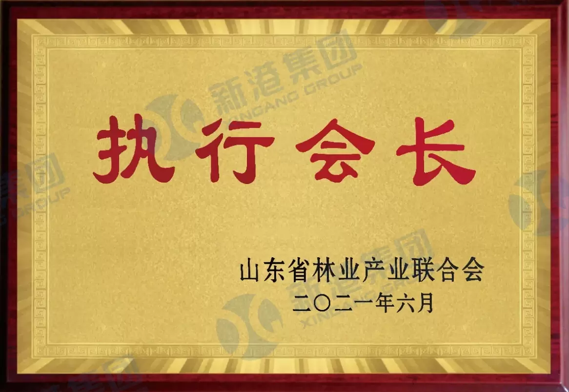 Chủ tịch điều h&agrave;nh